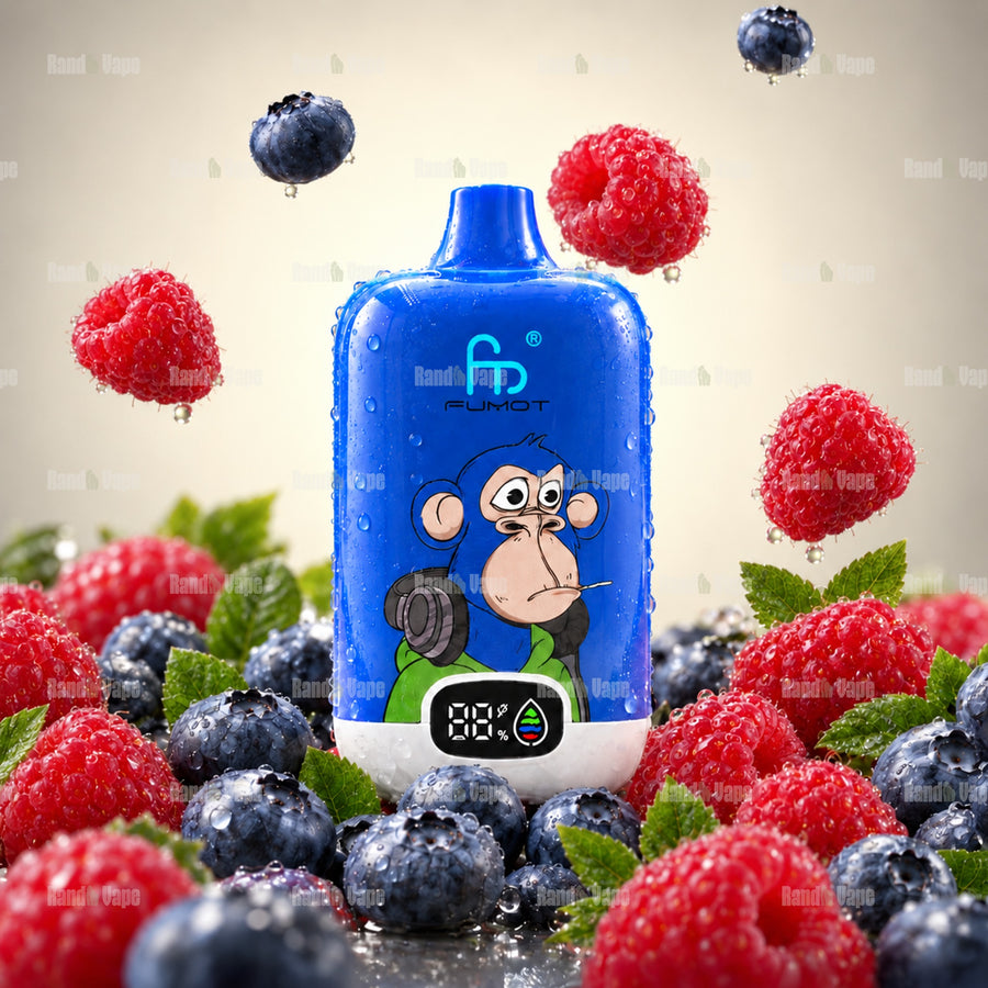 Fumot Digital Box 12000 Blueberry Raspberry Einweg Vape mit 12000 Zügen und Display